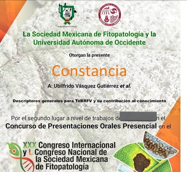 UbilfridoVG's tweet photo. No es un primero, pero si un segundo lugar merecido por nuestro trabajo aplicado al conocimiento del ToBRFV., en Modalidad Ponencia Oral presencial realizado en la UAdeO, Sinaloa.
#EmergingPests
#ToBRFV
#Tobamovirus
#Descriptorsandcharacterization
#PandemicToBRFV https://t.co/0ff7XHc9z1