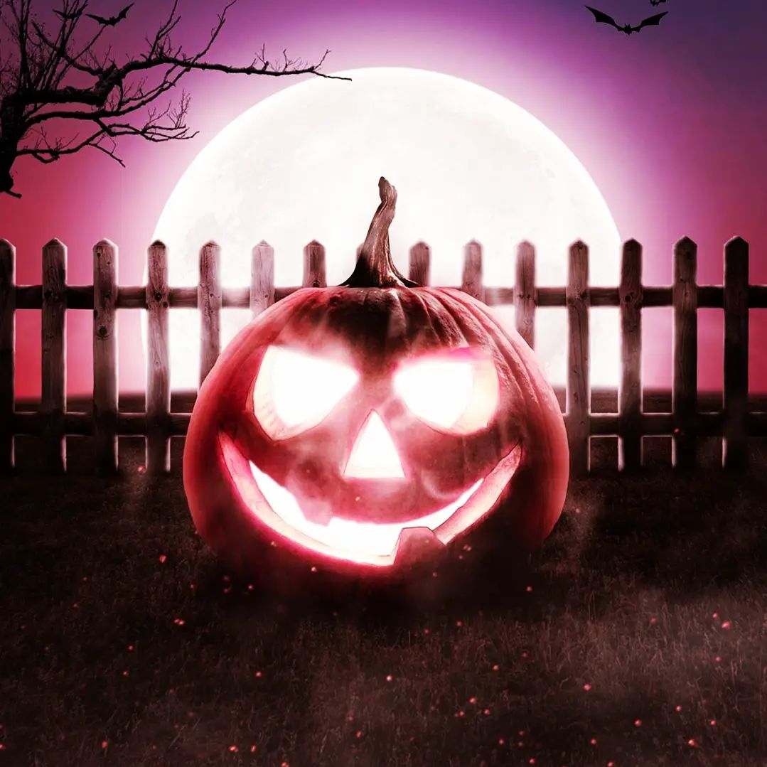 Happy and beautiful days, I hope you are here