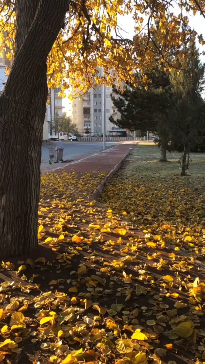 Use your footsteps to measure the world and your eyes to record the scenery.