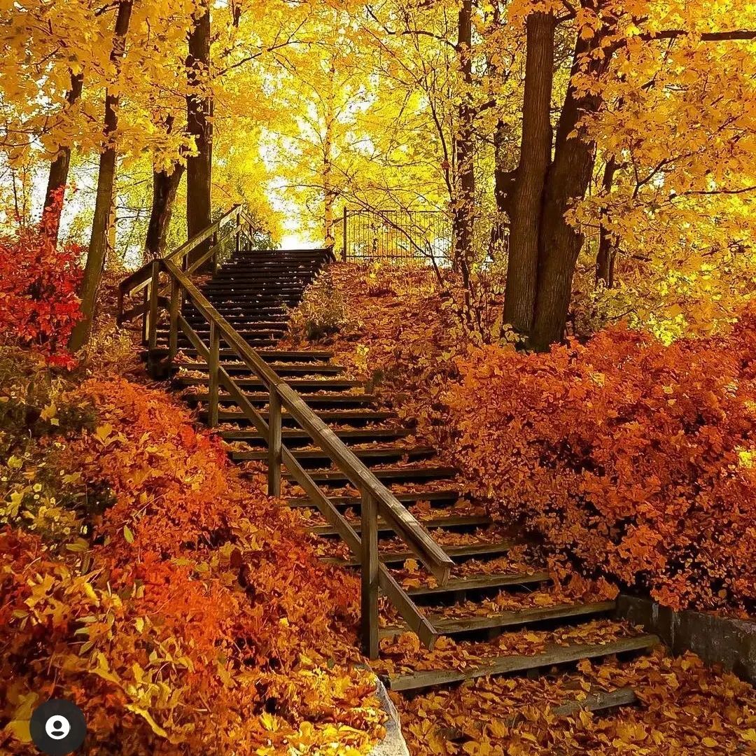 See different scenery and have a good mood