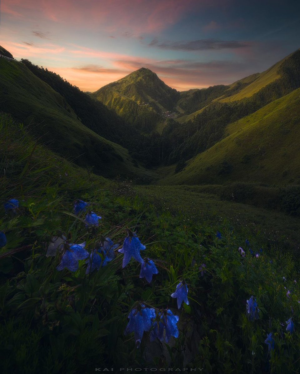 The garden is full of spring scenery, with a few red flowers falling all over the ground