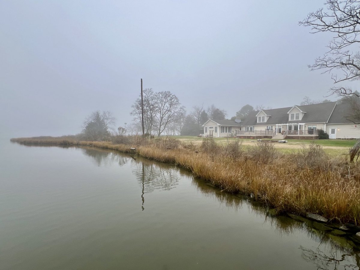 MarkBjorge's tweet photo. Foggy Place https://t.co/Jv9g6X8sam