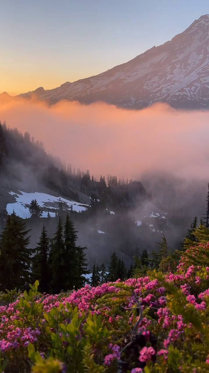 Be bought by the good scenery, and the rest is all a good mood.