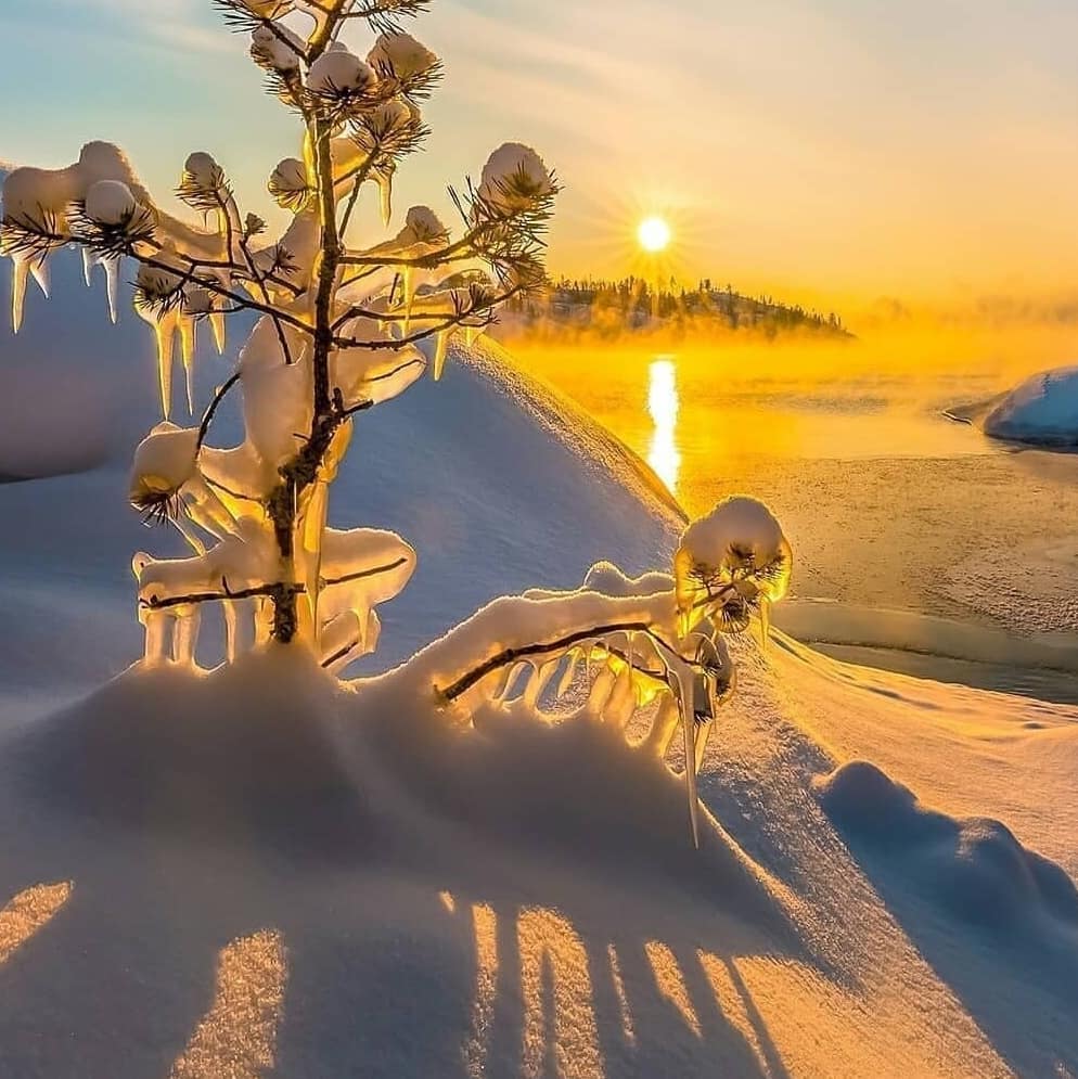 Use your footsteps to measure the world and your eyes to record the scenery.