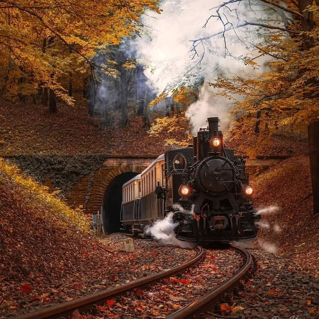 When you come to this world, you must make an effort to see more scenery.