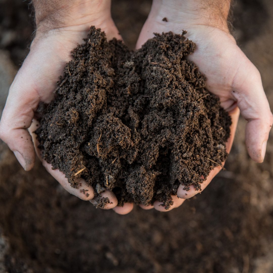 Botandoofficial's tweet photo. Take a stand for the environment! It's time to raise the bar on soil production standards in Australia for healthier soils and a healthier planet. #soilquality #environmentalprotection #sustainableaustralia https://t.co/R4MjQn4Qhe