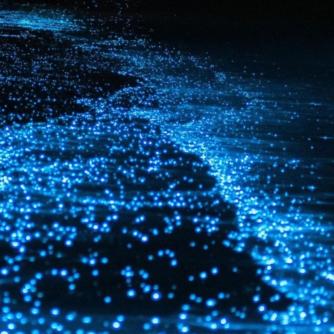 Walking away as soon as you want is the most beautiful luxury and the most brilliant freedom in life.