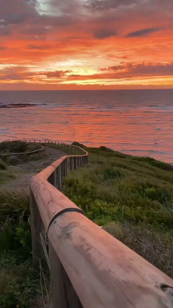 Days of wandering, wandering and free