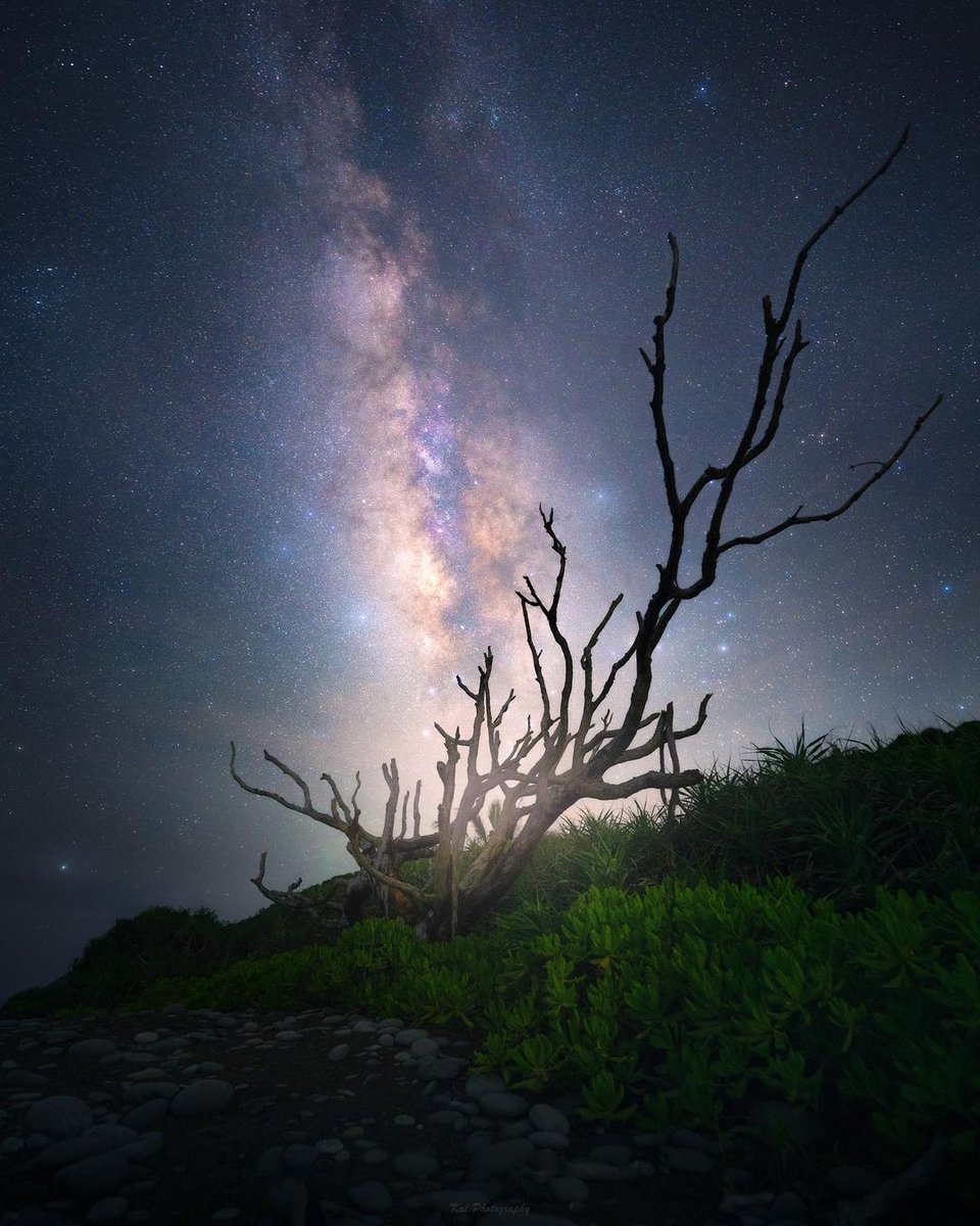 Leave your eyes to the scenery and your weight to the delicious food.