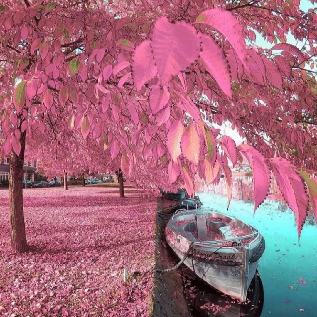 Your journey to me is better than all distant tenderness.