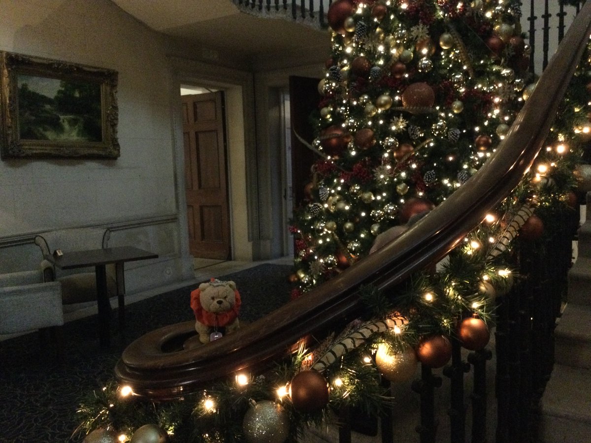 LondonChowClub's tweet photo. Uncl Matthew @MatthewCruises , me an Mummy don’t do Xmas but nuffink ron admirin its decoration.  On da left is @ambassadorcruis #Ambience 4 #Prexmas an rite #WarnerLeisure #CricketStThomas #Twixmas , bo’ from last yr.  We look 4wrd 2 nxt wkend on #Ambition . https://t.co/d4O3bTVYZ9