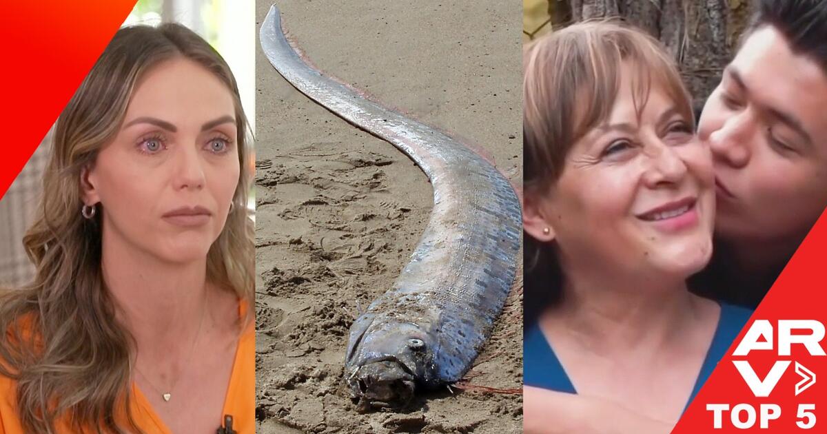 AlRojoVivo's tweet photo. Top 5: Temen que #pezremo anuncie terremoto, #JessicaCarrillo en regresión, se casa #AlinaLozano.
EN VIDEO https://t.co/cwFop1aRb2 #masvistas #top5 https://t.co/S86WZlTTaZ