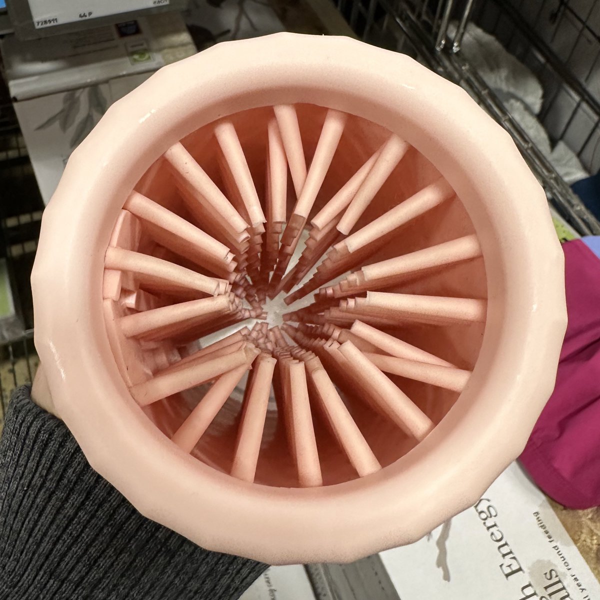 Type1chlo ✨🌙 tweet media