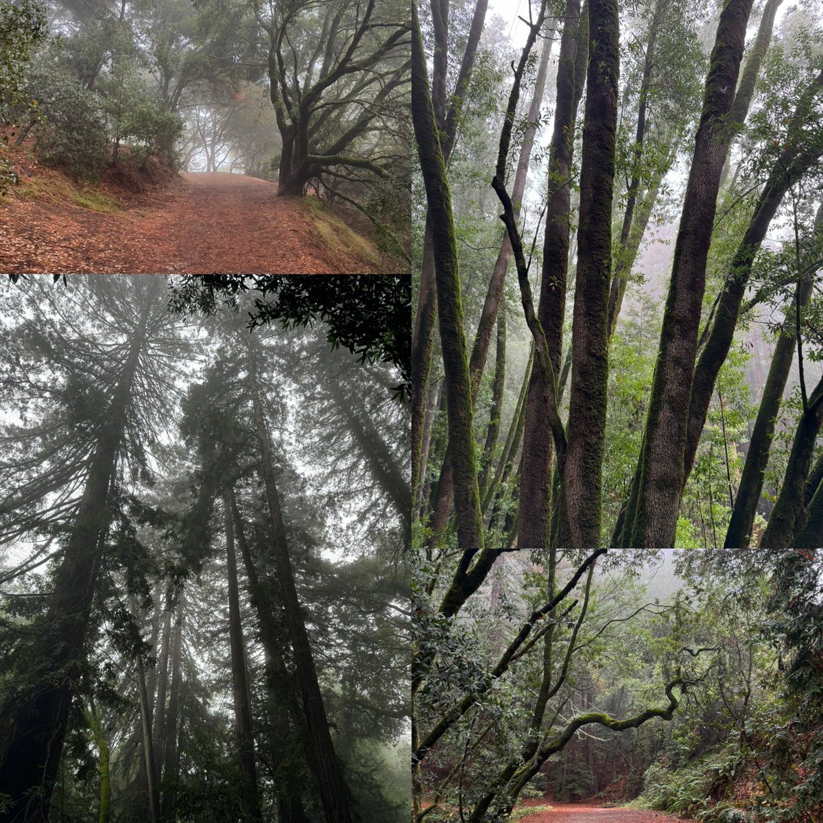 kxibrownie14's tweet photo. Fog, rain, mud…favorite place to be 🌲🌧️🍂🍁 #outdoorsgirl #fallismyfavorite https://t.co/EjHHZ3IpFu