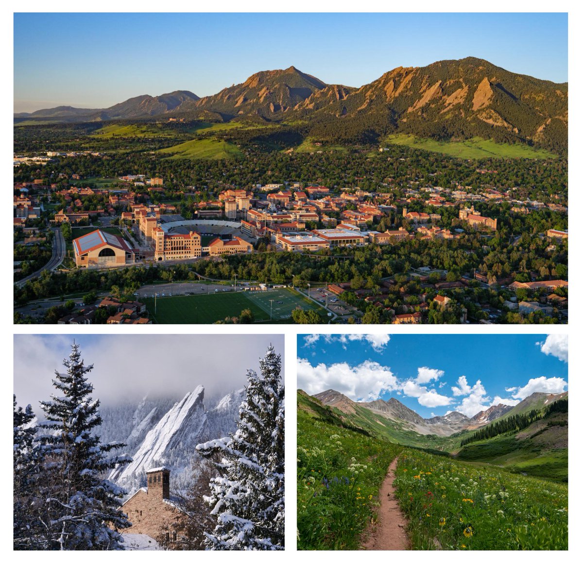 Colorado PLV tweet media