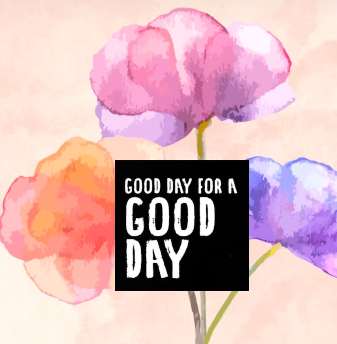 Jamie Alison Nuckols (@n3668jamie) on Twitter photo 