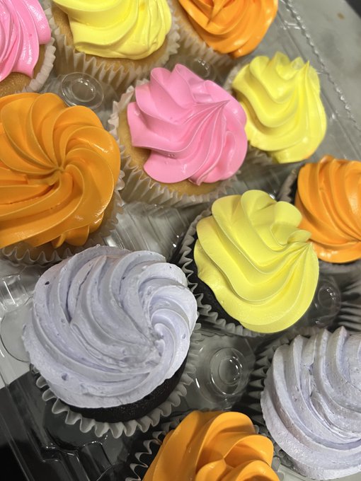 My friend got me cupcakes for my birthday lol at work even doe it passed a while ago love her 💕 https://t<a href="/tag/skelanimals"class="tags"><span>#skelanimals</span></a>