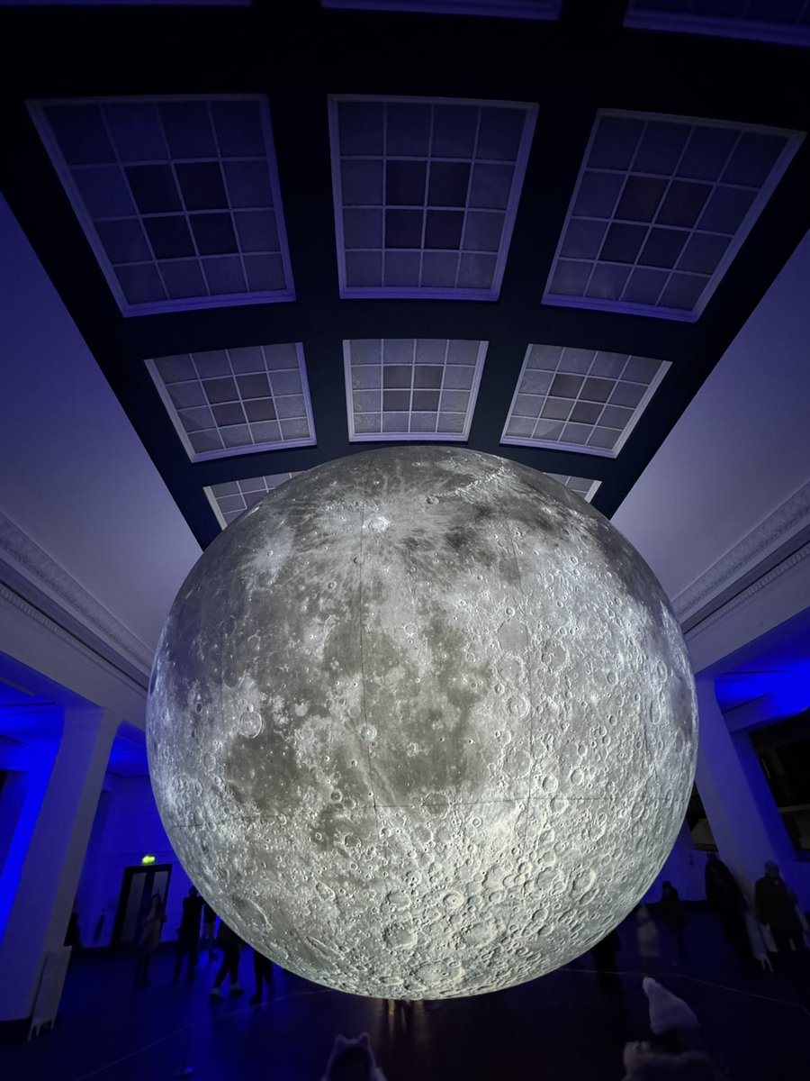 Put big light on festival - absolutely superb 👌