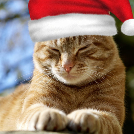 Ivest Unit tweet media