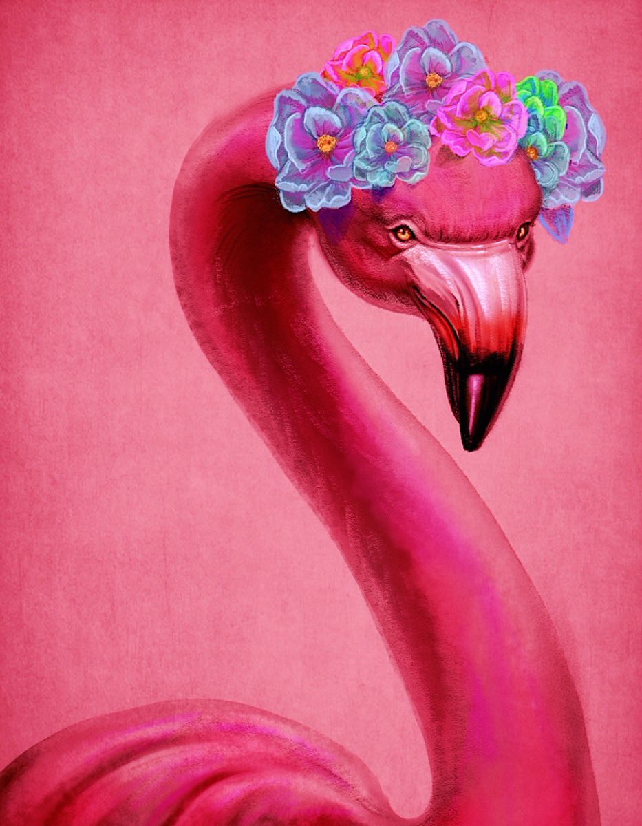 Hey fowl gang! To celebrate the launch of my brand new website, I’m giving away metal prints of the artworks attached! 🎉

👉 ENTER HERE: isaiahdraws.com/new-website-gi…

The winner will be announced on Monday, December 18th.