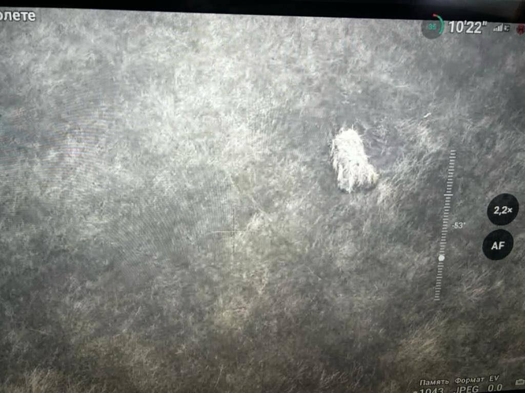 MAKS 25 🇺🇦👀 tweet media