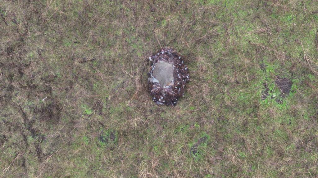 MAKS 25 🇺🇦👀 tweet media