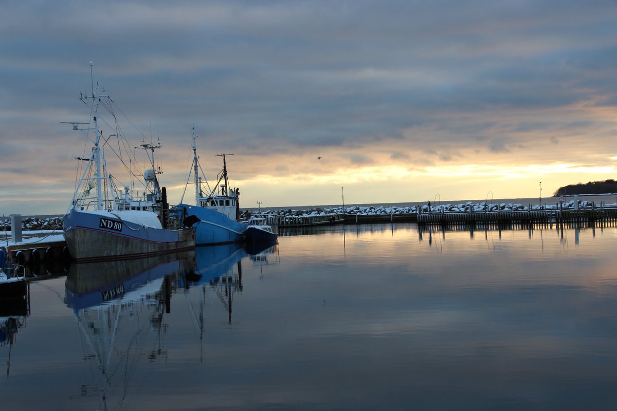 Rødvig 02-12-2023 ⛄️