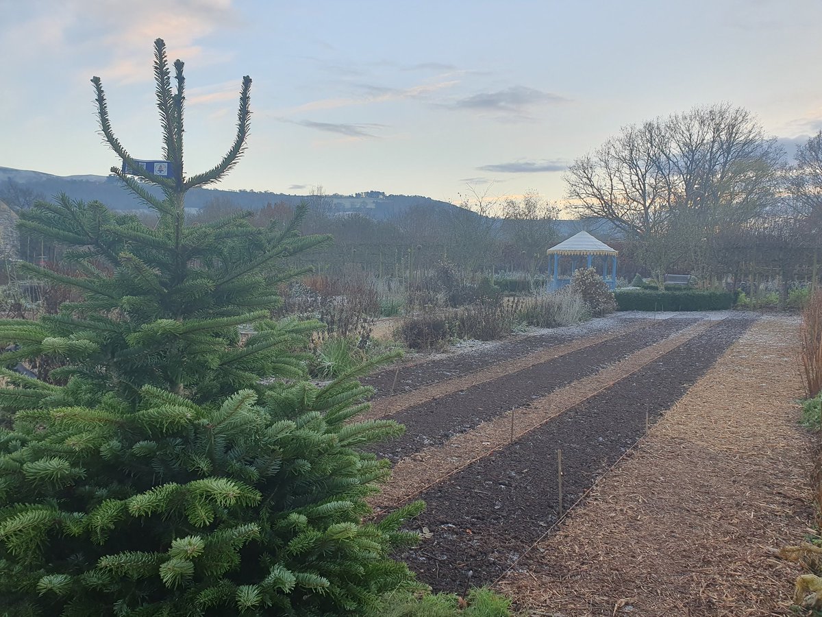 Will Lloyd tweet media