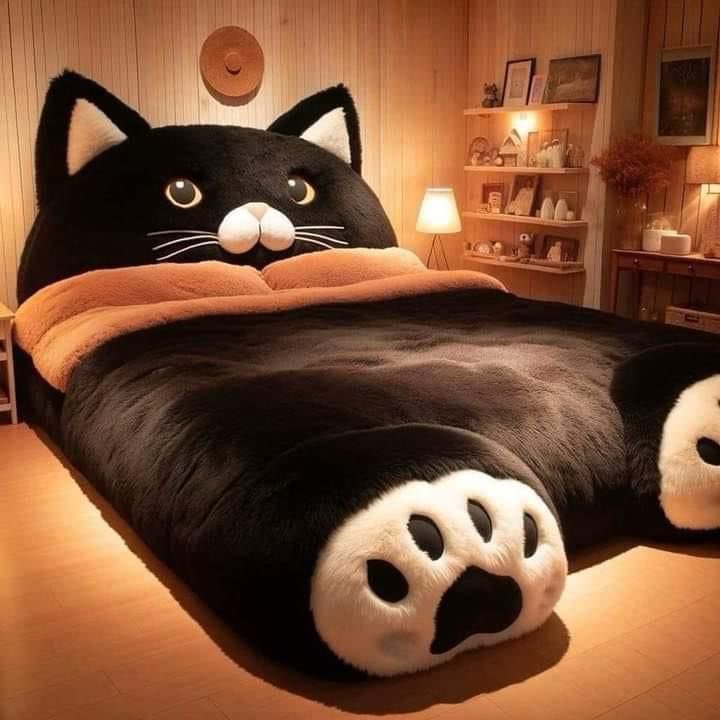 Baconcatsmx's tweet photo. Cuando tenga mucho dinero no diré nada, pero habrá señales 😎 https://t.co/XcyzffZ702