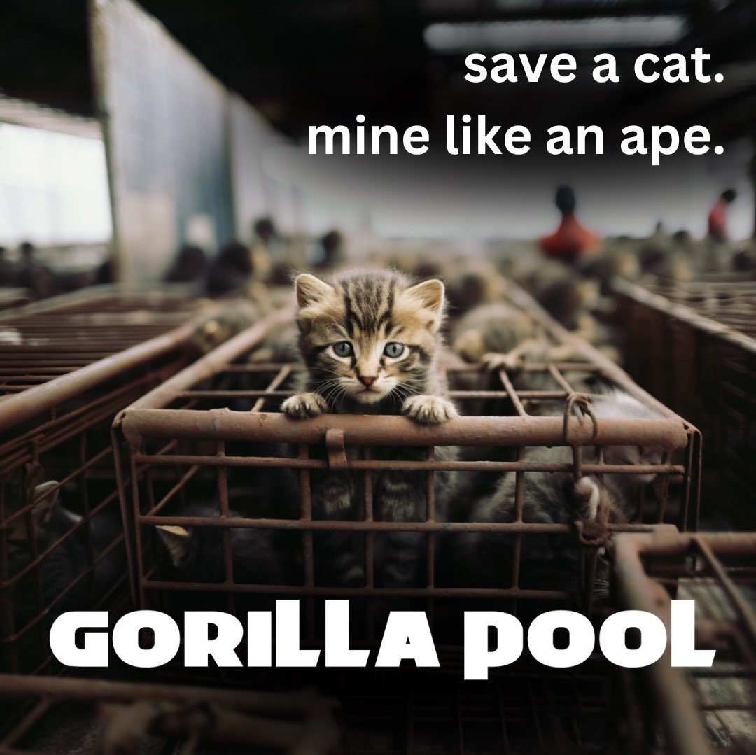 MineLikeAnApe's tweet image. The small blockers have resorted to censoring jpegs and eating cats. 

Protest against the madness! 

Mine like an ape at GorillaPool.com.