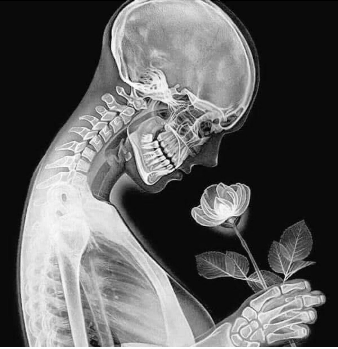 OGdukeneurosurg's tweet photo. You're only here for a short visit. Don't hurry. Don't worry. And be sure to smell the roses along the way. Walter Hagen https://t.co/VU8IbTunam