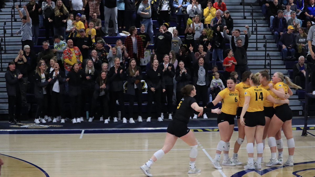 'Cats supporting 'Cats!! 🐾🐾

#PlayForThePaw | #D2VB