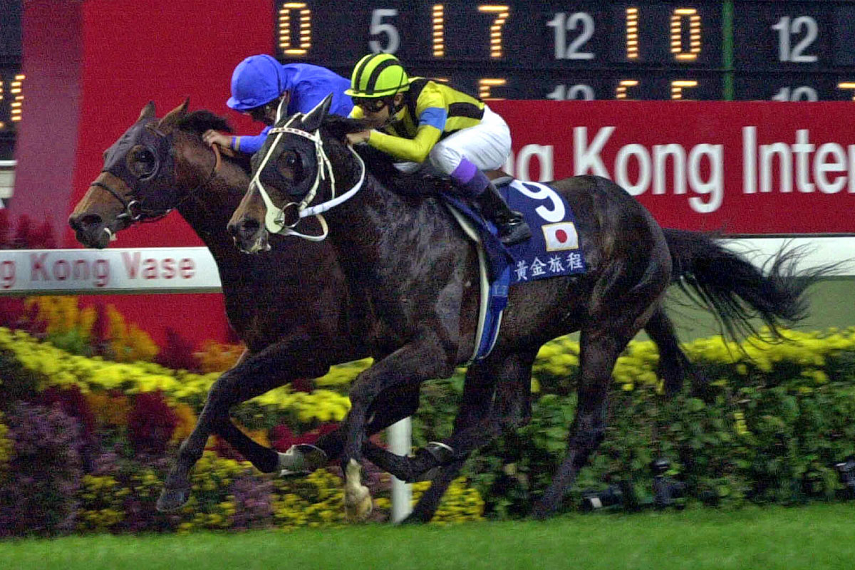 WHAT A RACE 😍 The battle between STAY GOLD (Yutaka Take) and