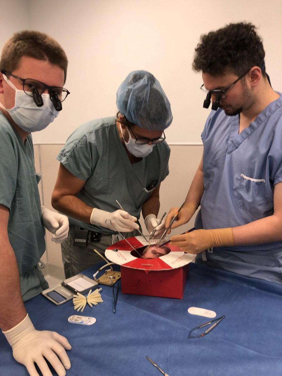 Chirurgie Cardiaque UMontreal tweet media