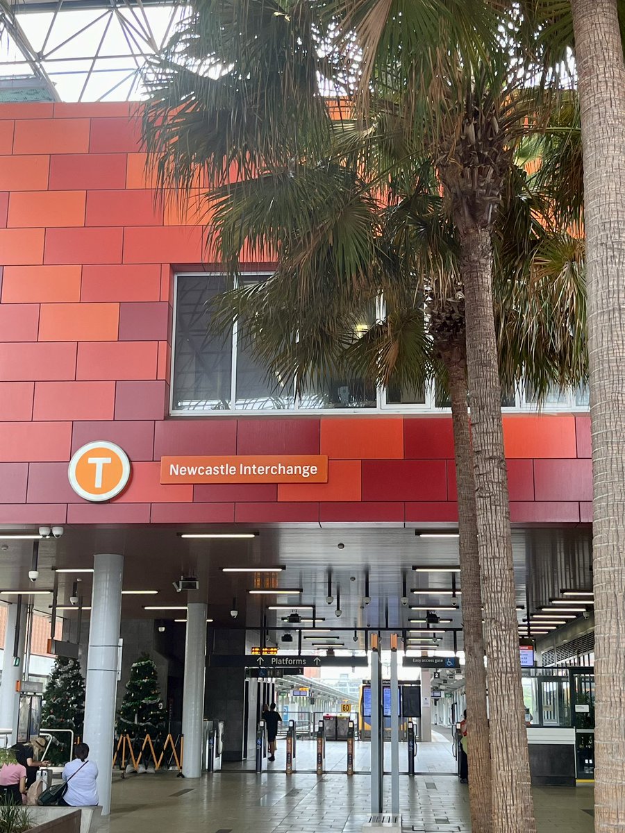 Jamie Carlson tweet media