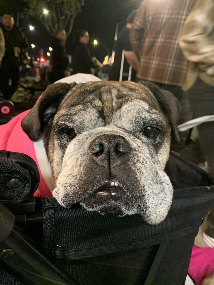 Love them little toofers.