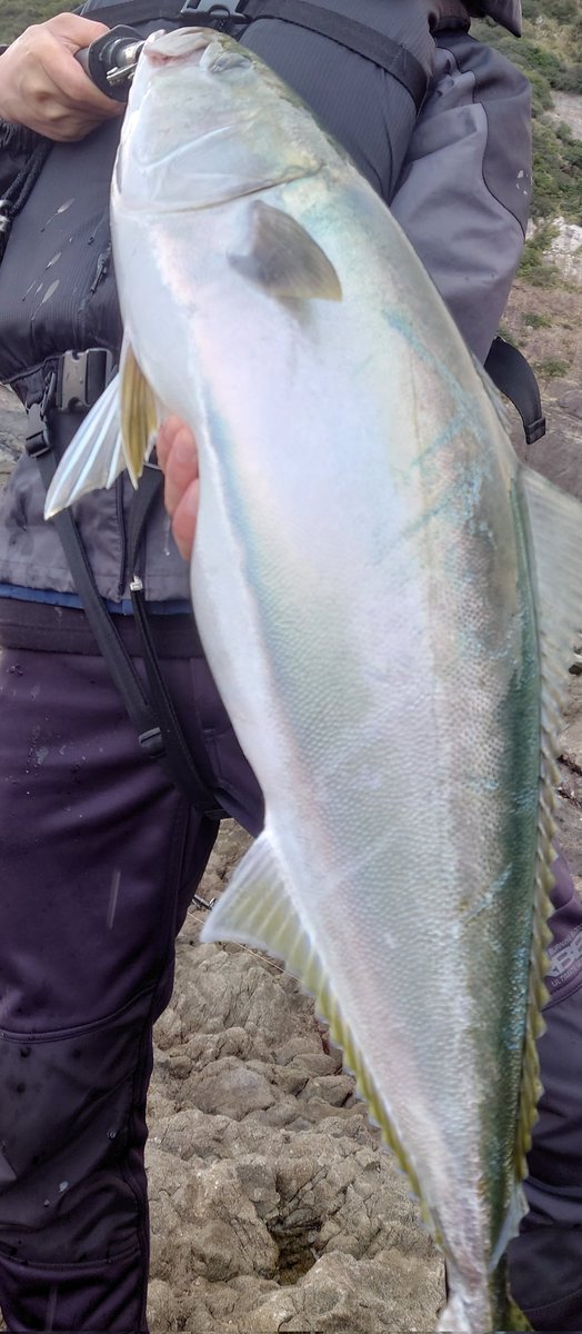 pkfire_50kara60's tweet photo. 90ジャスト！
#shoremania
#reeforiginal https://t.co/cFKx00A42q