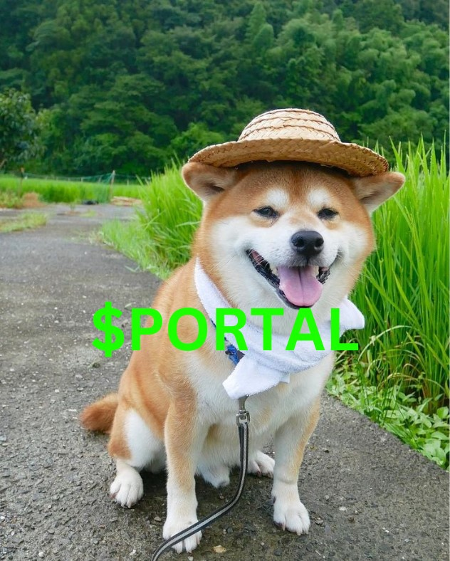 1 LAST DAY AND <a href="/Portalcoin/">Portal</a> IS STILL GROWING WITH DOGGO!

I WANT TO RAID AND FOLLOW YOU ALL BACK!    
- Like &amp; RT   
- Quote WAGMI $Portal 
- Reply below with your links✅I'll return the favor