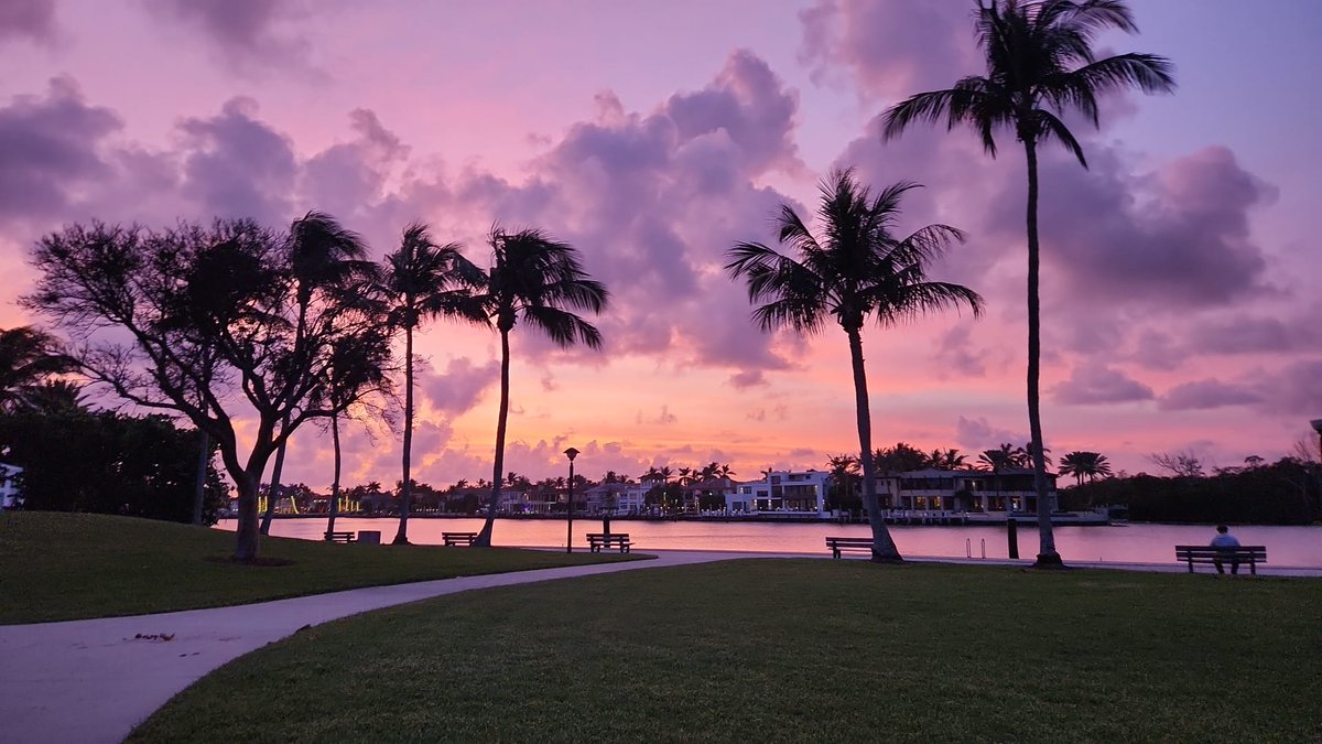 MsBlueFl 🏝️🐬🦎 tweet media