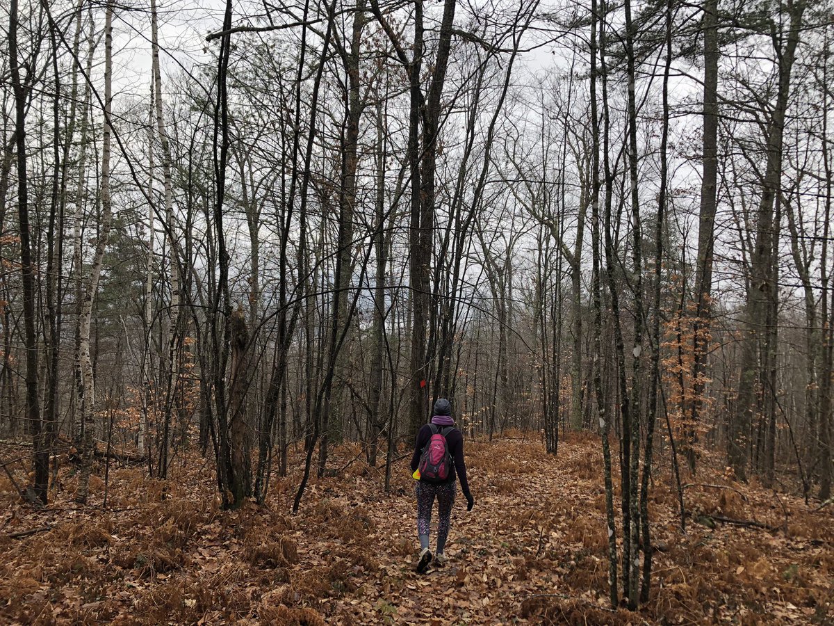 Winter hikes 🥾 🏔️ 🥰