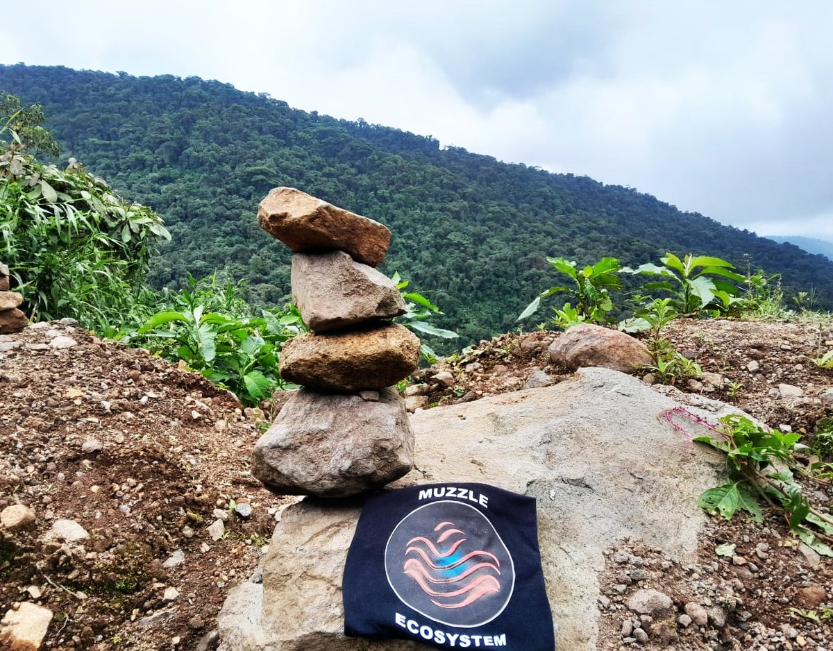 MuzzleWorld's tweet image. すべては考えと計画であり、私たちは噂ではなく、単なる一人ではありません。私たちは影で働き、太陽のように現れるのではなく、人たちの前に現れることがあります。#muzzle #muzzletoken #muzzid @MuzzleToken @TheholysnakeNFT