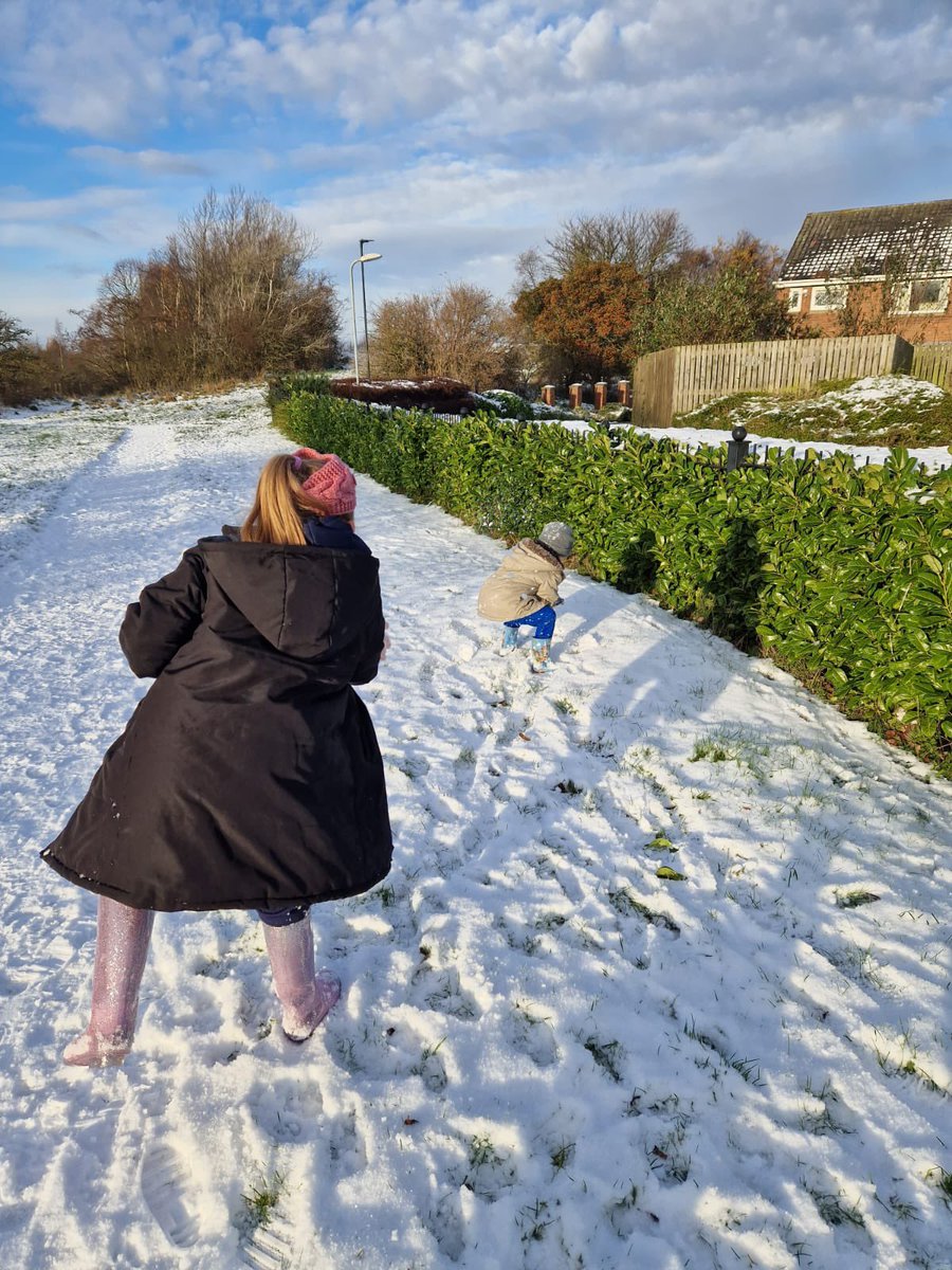 Vicki Mayes tweet media