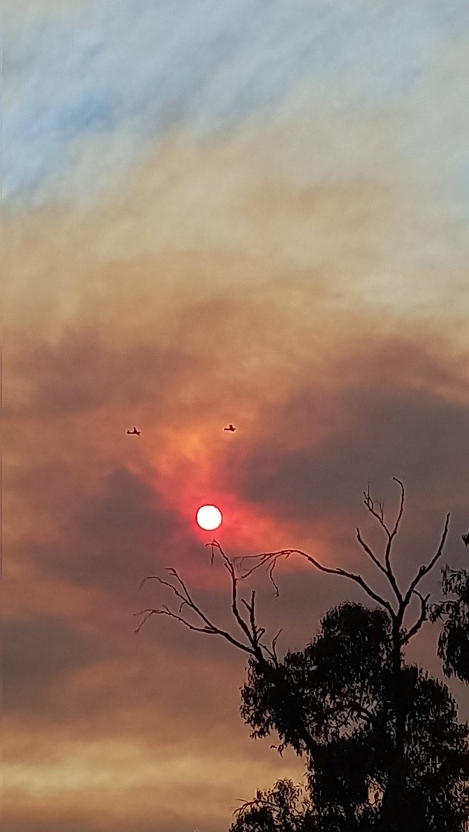 Marcelo Fica tweet media