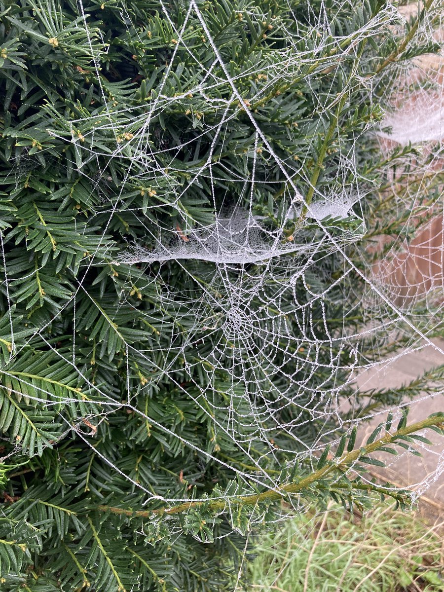 Aliki Varvogli Αλικη Βαρβογλη tweet media