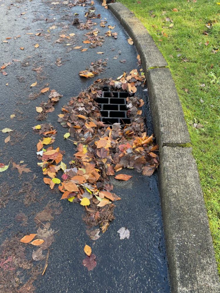 Seattle Street Fixers tweet media