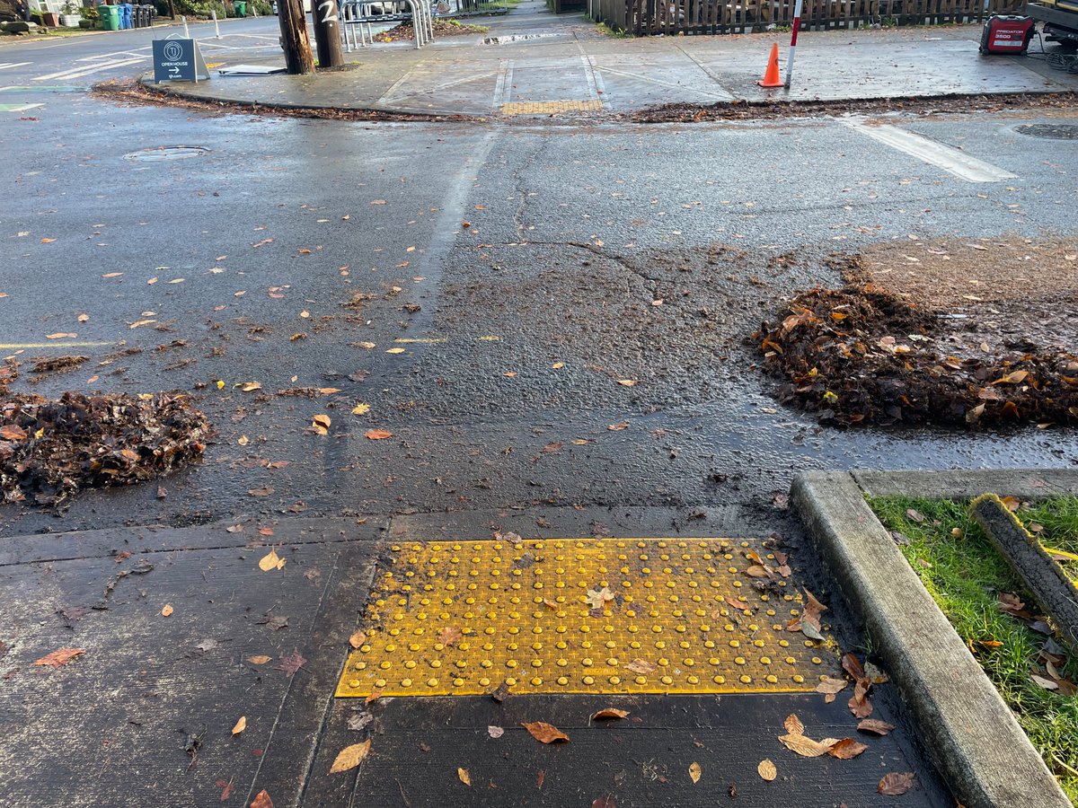 Seattle Street Fixers tweet media