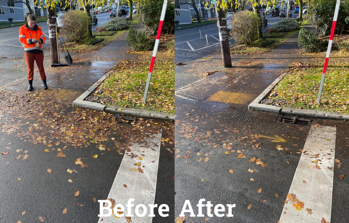 Seattle Street Fixers tweet media