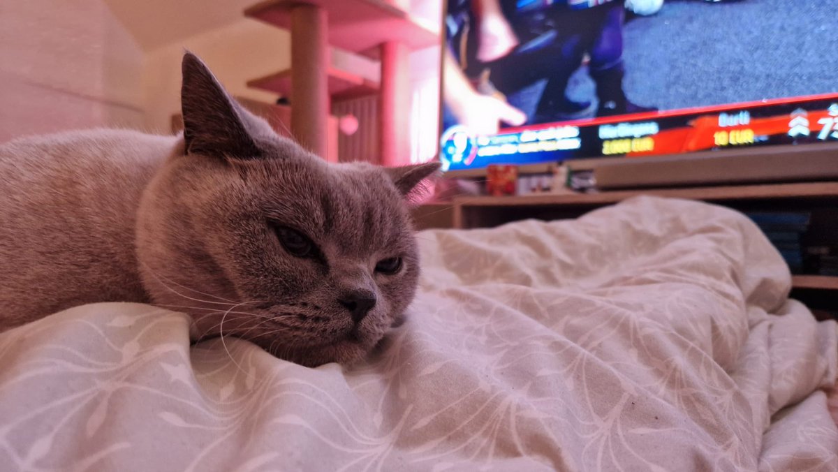 Fibi ist natürlich auch dabei bei #FriendlyFire9 ♥️