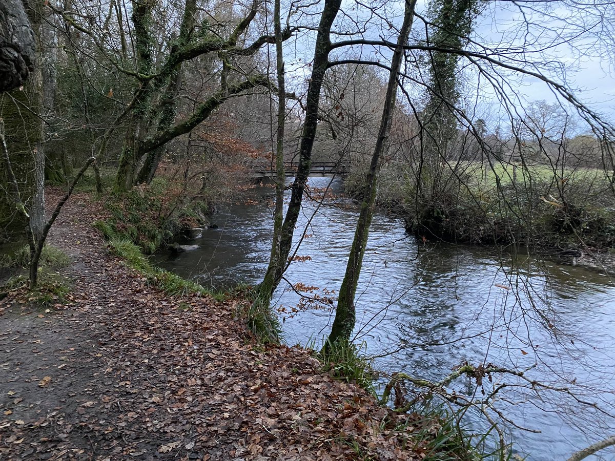 John Golding tweet media