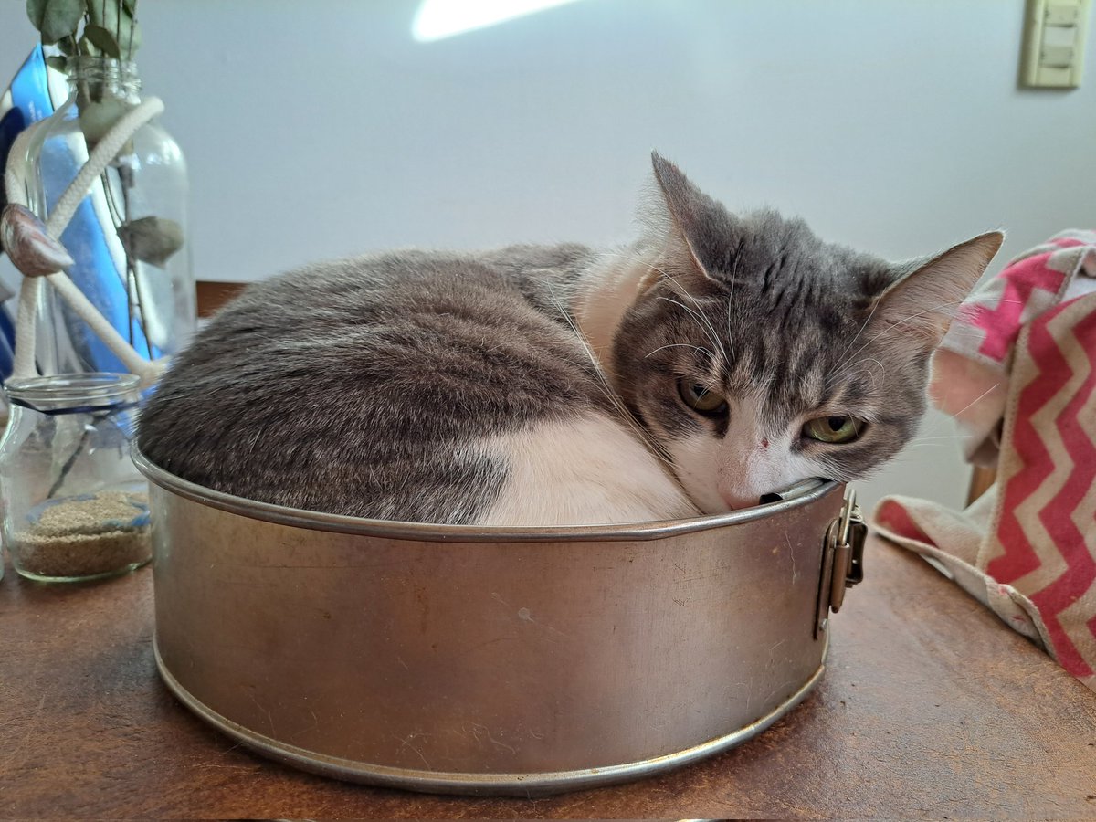 Una sirena en el sur 🧜🏻‍♀️🇦🇷 tweet media